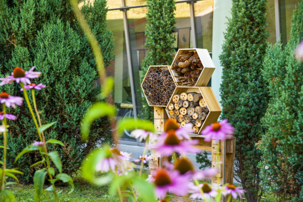 An insect hotel made up of three hexagon-shaped frames sits in a garden with pink flowers